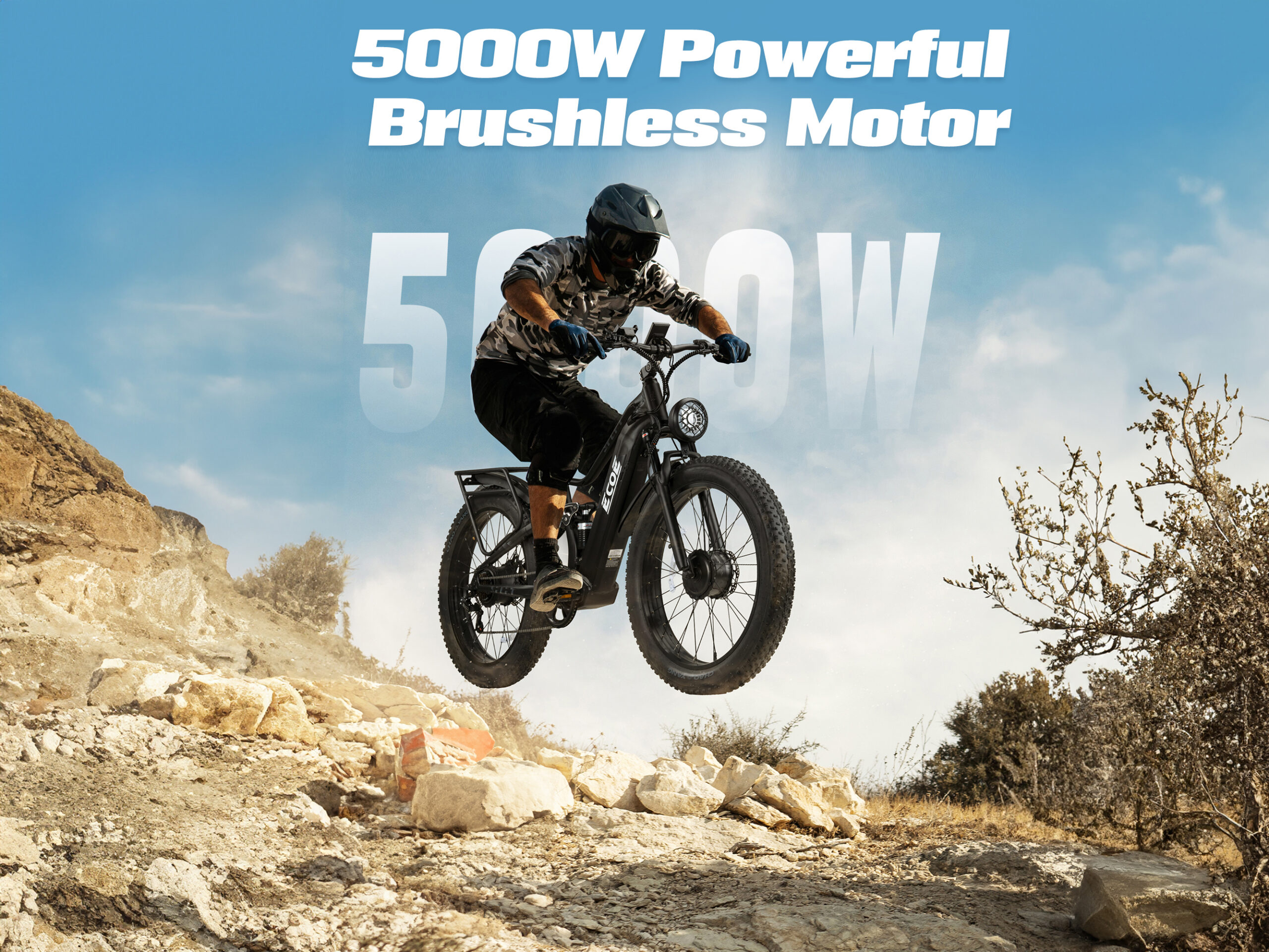 EcoE 5000W Dual Motor Electric Bike